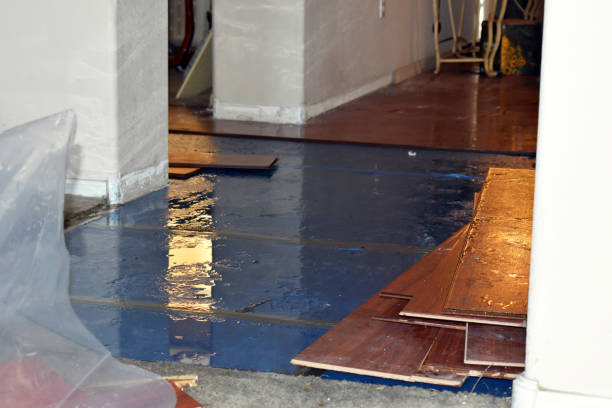Professional Water Extraction technician working in Muir, MI